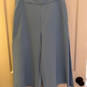 Zara wide leg pant